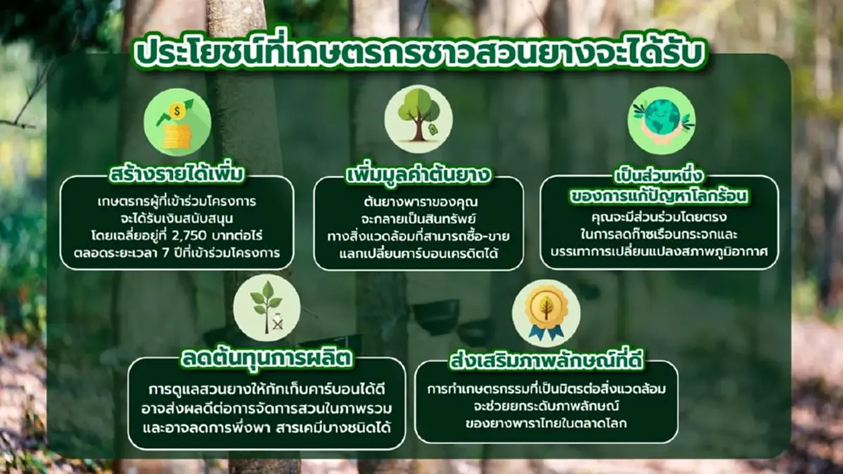 "โฉนดต้นยาง"สร้างรายได้สู้โลกร้อน ด้วยคาร์บอนเครดิต