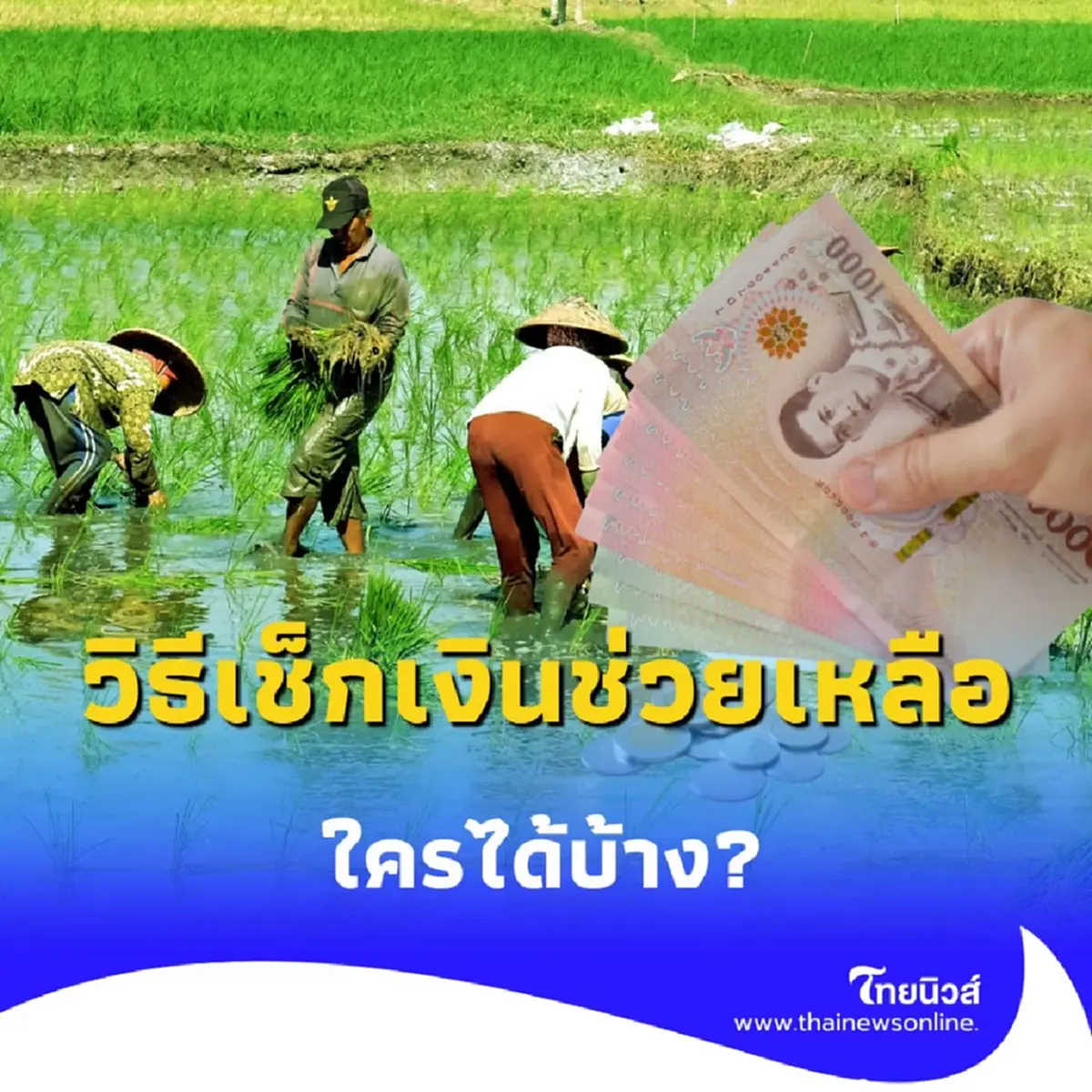 เปิดวิธีเช็กเงินช่วยเหลือชาวนา 1,000 บาทต่อไร่ ใครได้บ้าง เช็กสถานะและเงินเข้าวันไหน