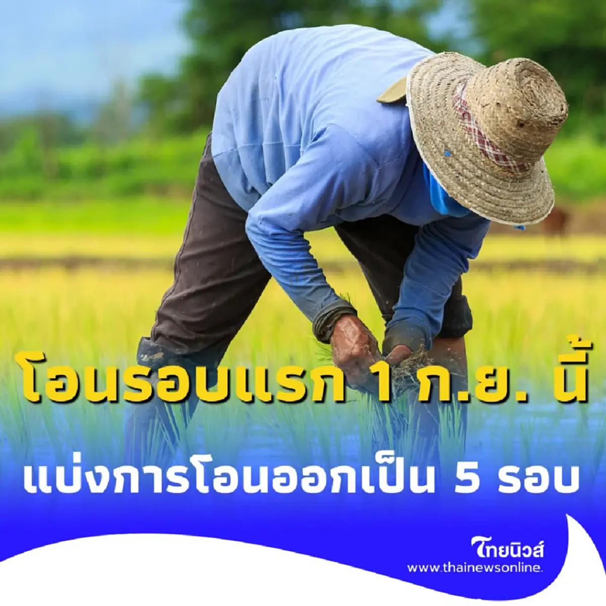 บอร์ด ธ.ก.ส. เตรียมเคาะ เงินไร่ละ 1,000 บาท ชี้โอนล็อตแรก 1 ก.ย. 68