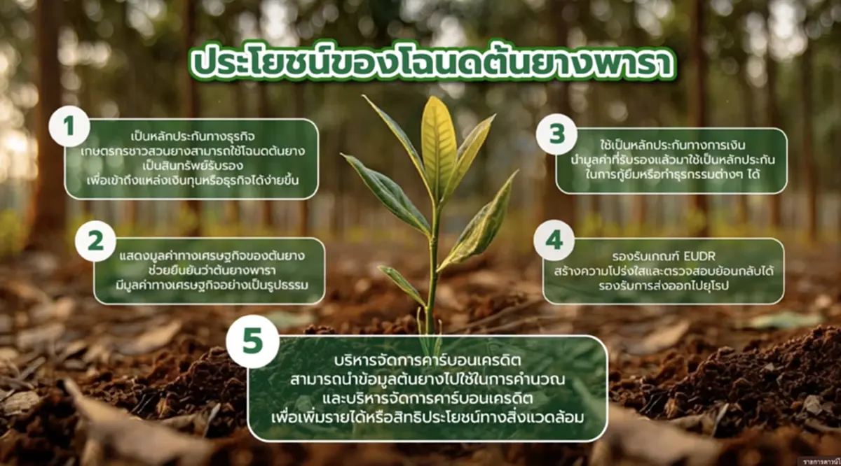"โฉนดต้นยาง" เชื่อมยางพาราไทยสู่ตลาดโลก