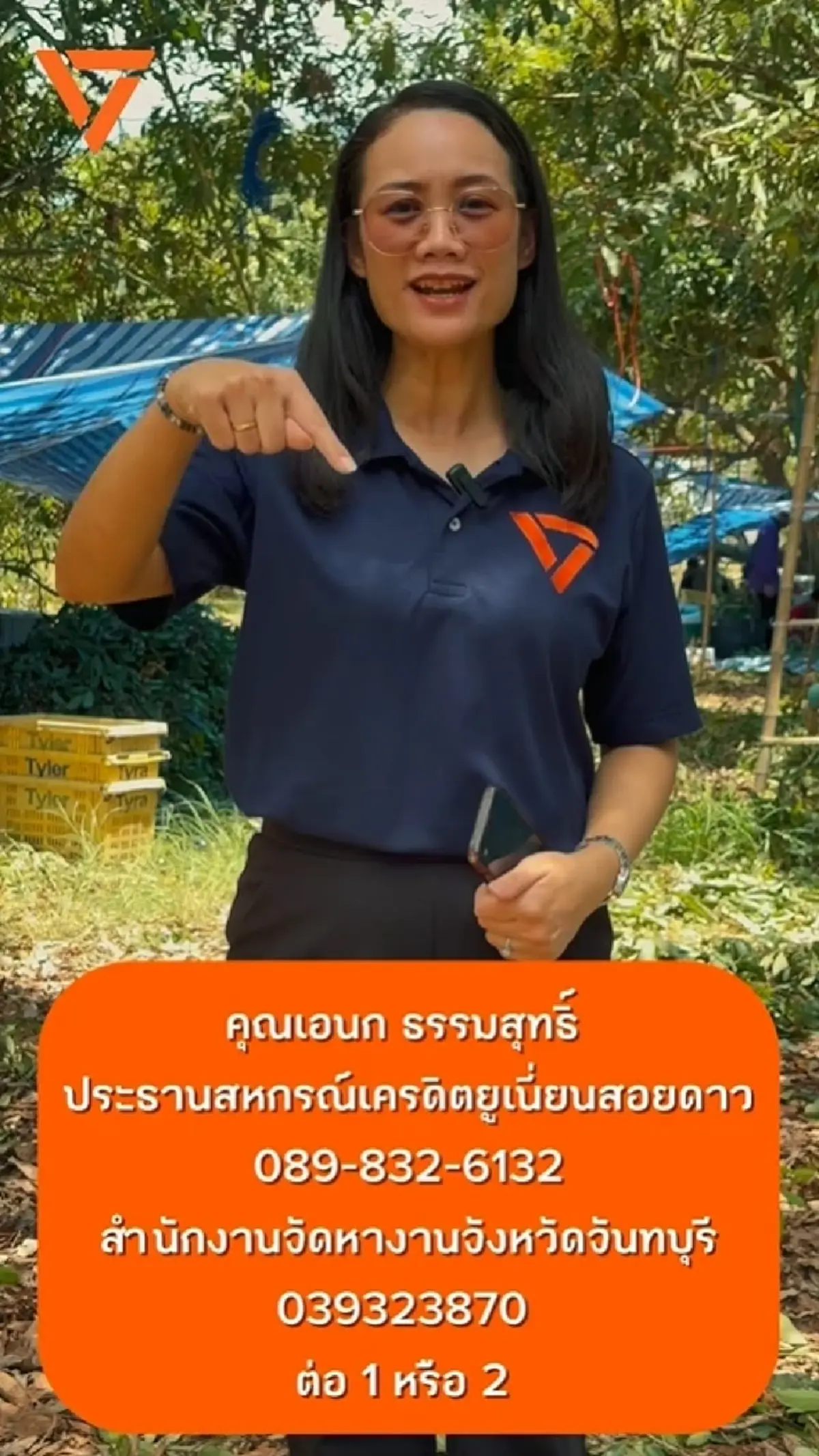 ค่าจ้างไม่ธรรมดา สวนลำไยจันทบุรี รับ 3 หมื่นคน แทนแรงงานกัมพูชา