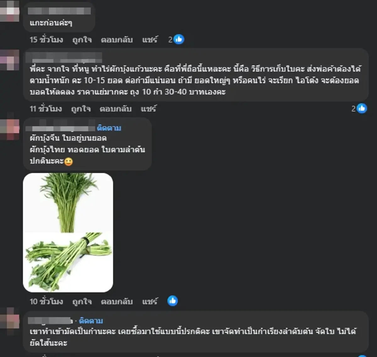 ลูกค้าวีน ซื้อผักบุ้งกำใหญ่ 10 บาท แกะเจอยัดไส้ใบ ชาวเน็ตรีบเบรก