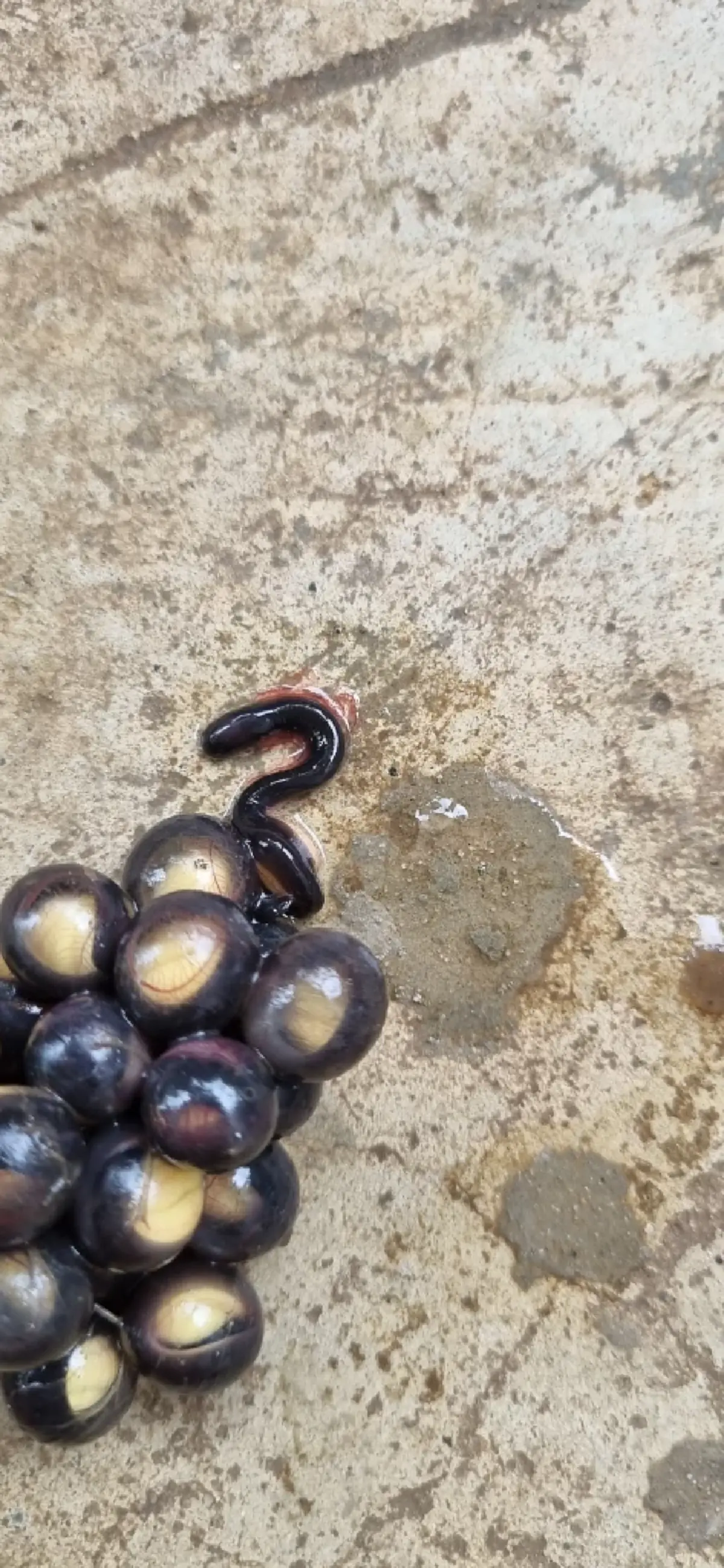 สาวเจอไข่ปริศนาไหลมากับน้ำ สงสัยคือตัวอะไร ชาวเน็ตช่วยเฉลยแล้ว