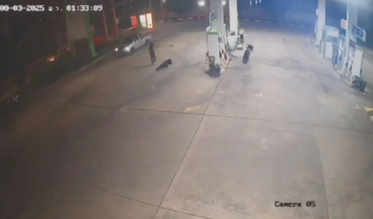 คลิปอีกมุม เกิดอะไรขึ้น "เป๊ก ผลิตโชค" ก่อนถูกฟันล้มฟุบคาปั๊ม