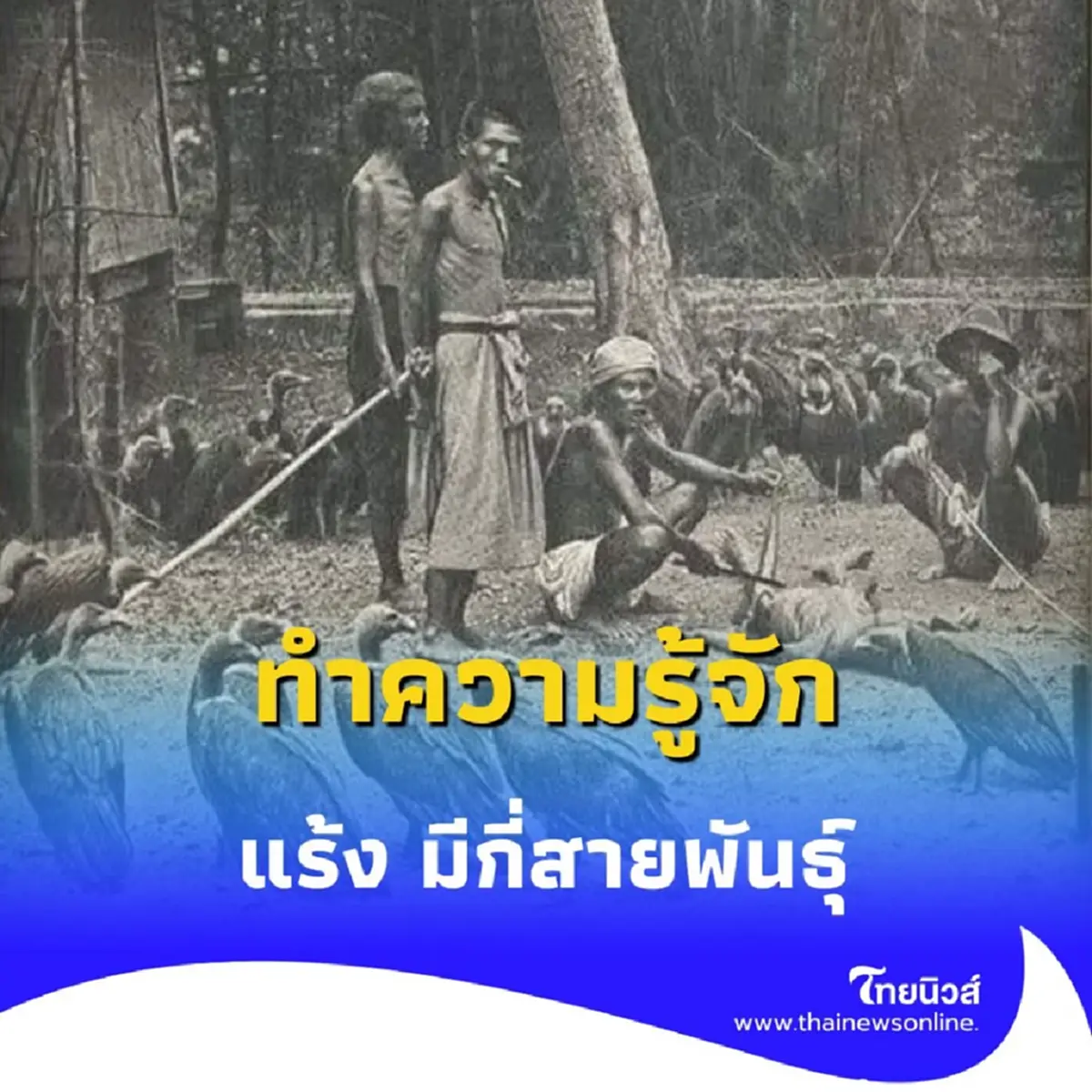 ย้อนดูภาพถ่ายแร้ง ที่วัดสระเกศสมัย ร.5 ที่หลายคนไม่เคยเห็น