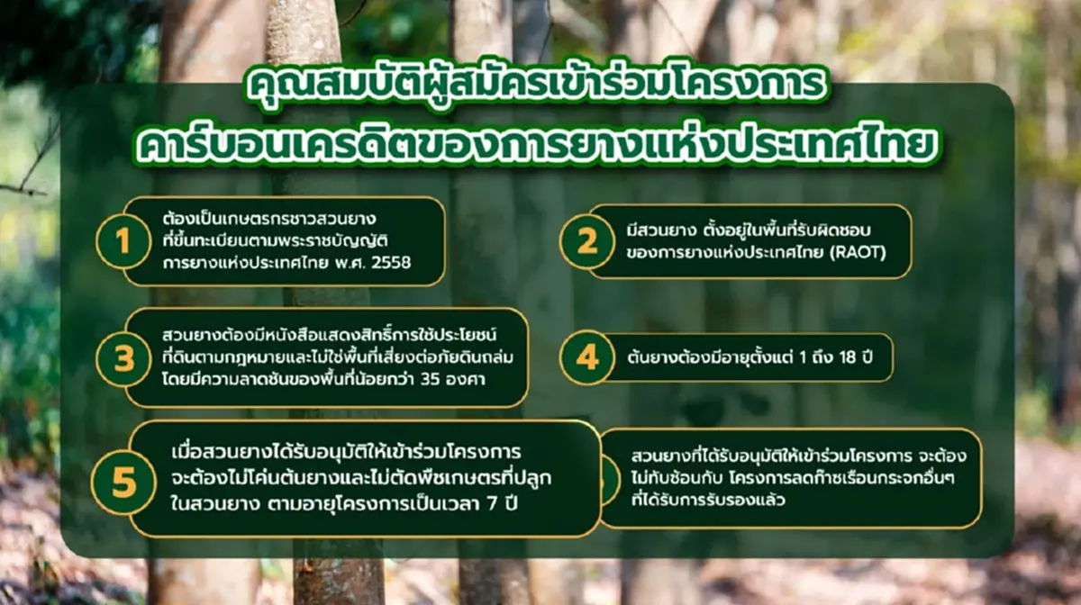 "โฉนดต้นยาง"สร้างรายได้สู้โลกร้อน ด้วยคาร์บอนเครดิต