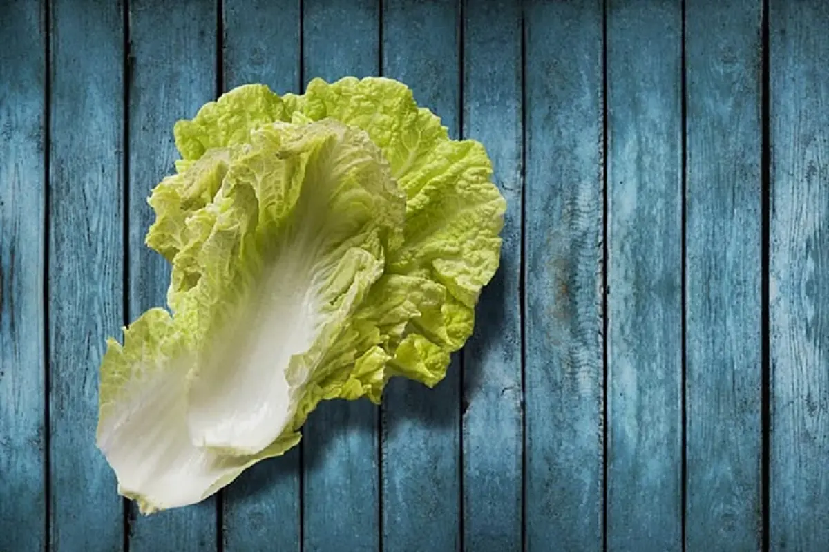 กินผักให้ถูก 5 ผักช่วยเรื่องขับถ่าย ปรับลำไส้ให้ทำงานดีขึ้น