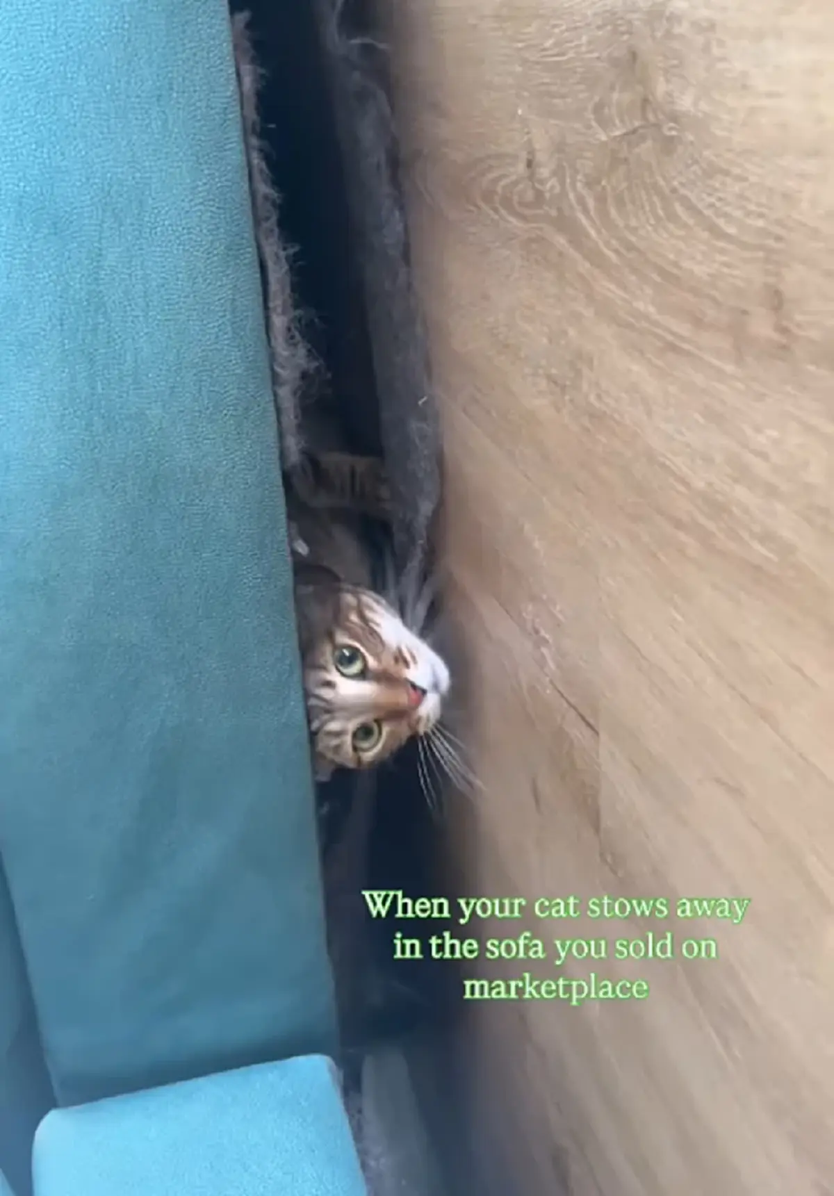 หญิงขายโซฟาออนไลน์ สุดท้ายลูกค้าโทรมาด่วน ตกใจมีของแถม