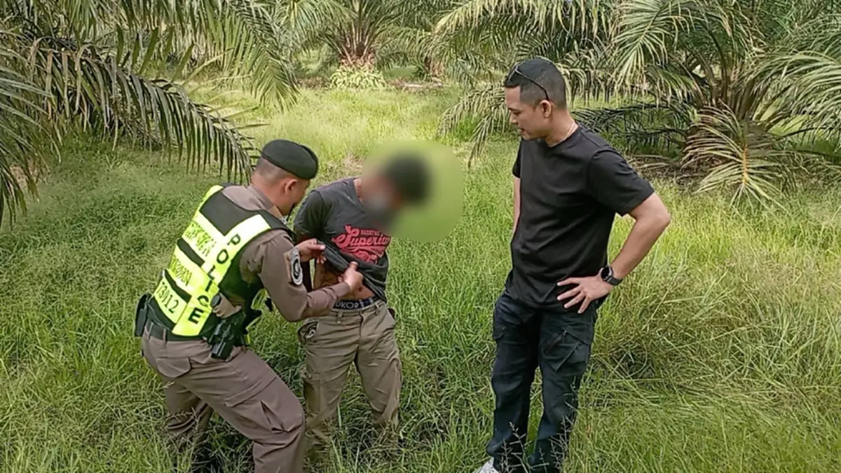 ล่ารถขนต่างด้าว โชเฟอร์โดดหนีทิ้งรถชนต้นไม้ เปิดมาเต็มคันรถ