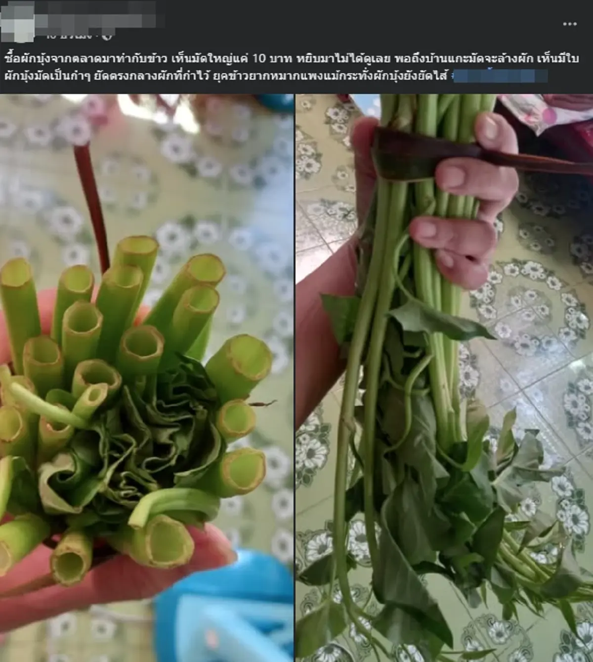 ลูกค้าวีน ซื้อผักบุ้งกำใหญ่ 10 บาท แกะเจอยัดไส้ใบ ชาวเน็ตรีบเบรก