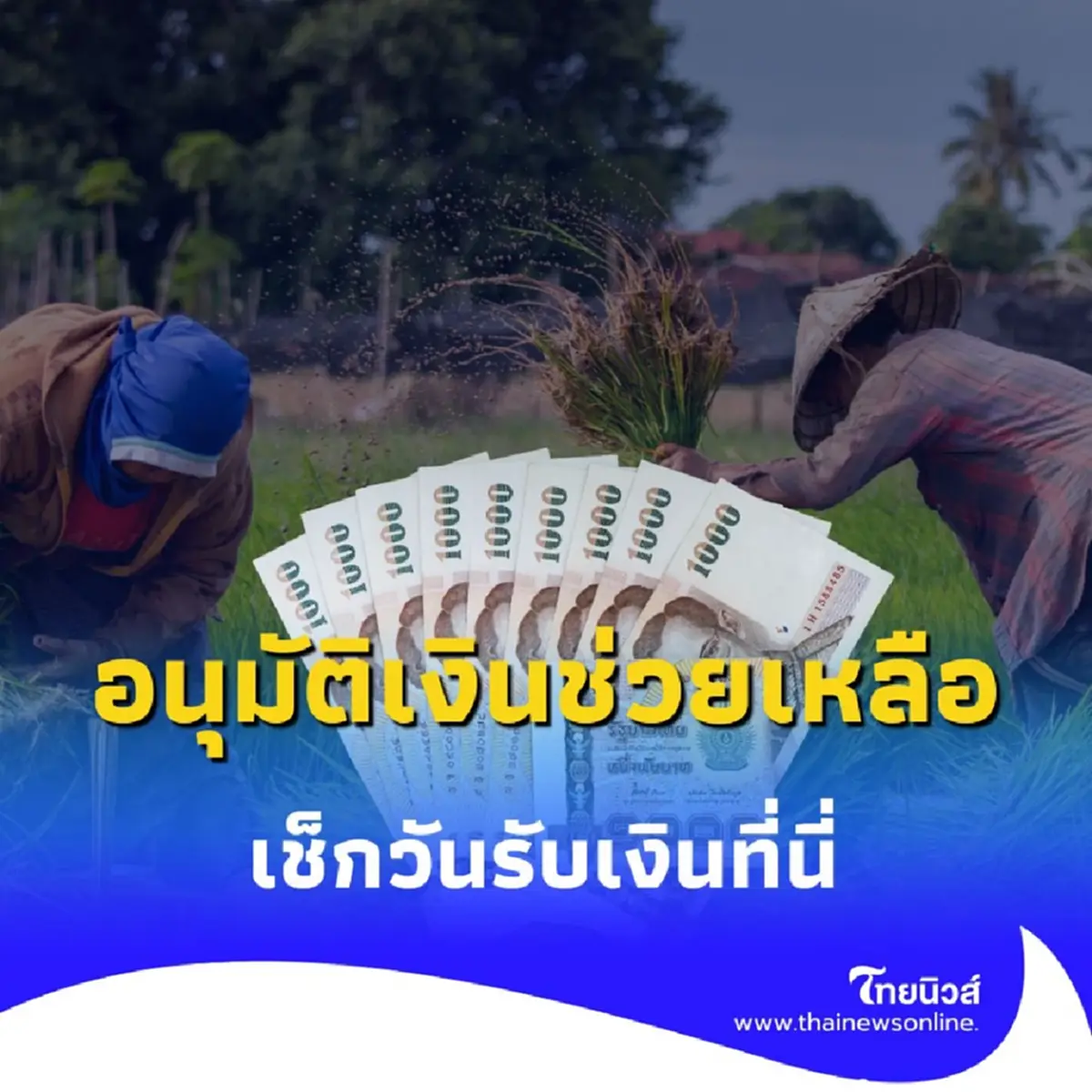 ชาวนาได้เงินช่วยเหลือ ไร่ละ 1,000 บาท สูงสุด 10,000 บาท เช็กวันรับเงินที่นี่