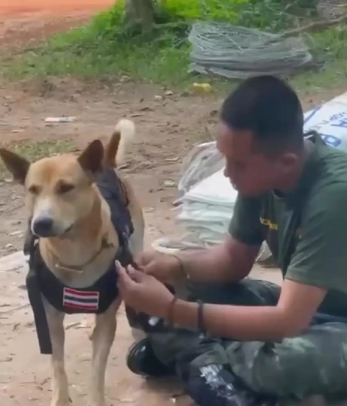 ไม่ธรรมดา จ่าจ๊อด หมานักรบแห่งตาเมือนธม ได้รับเสื้อเกราะแนวหน้า