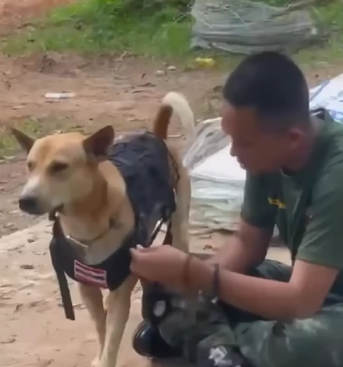 ไม่ธรรมดา จ่าจ๊อด หมานักรบแห่งตาเมือนธม ได้รับเสื้อเกราะแนวหน้า