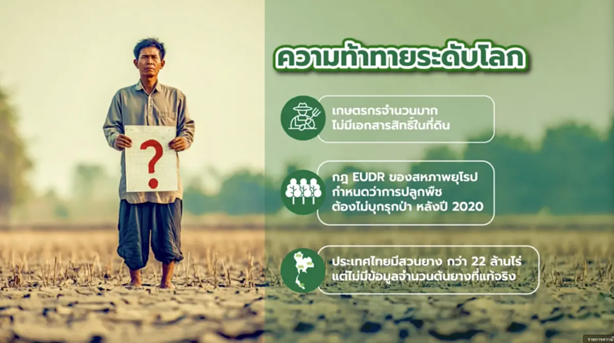 "โฉนดต้นยาง" เชื่อมยางพาราไทยสู่ตลาดโลก