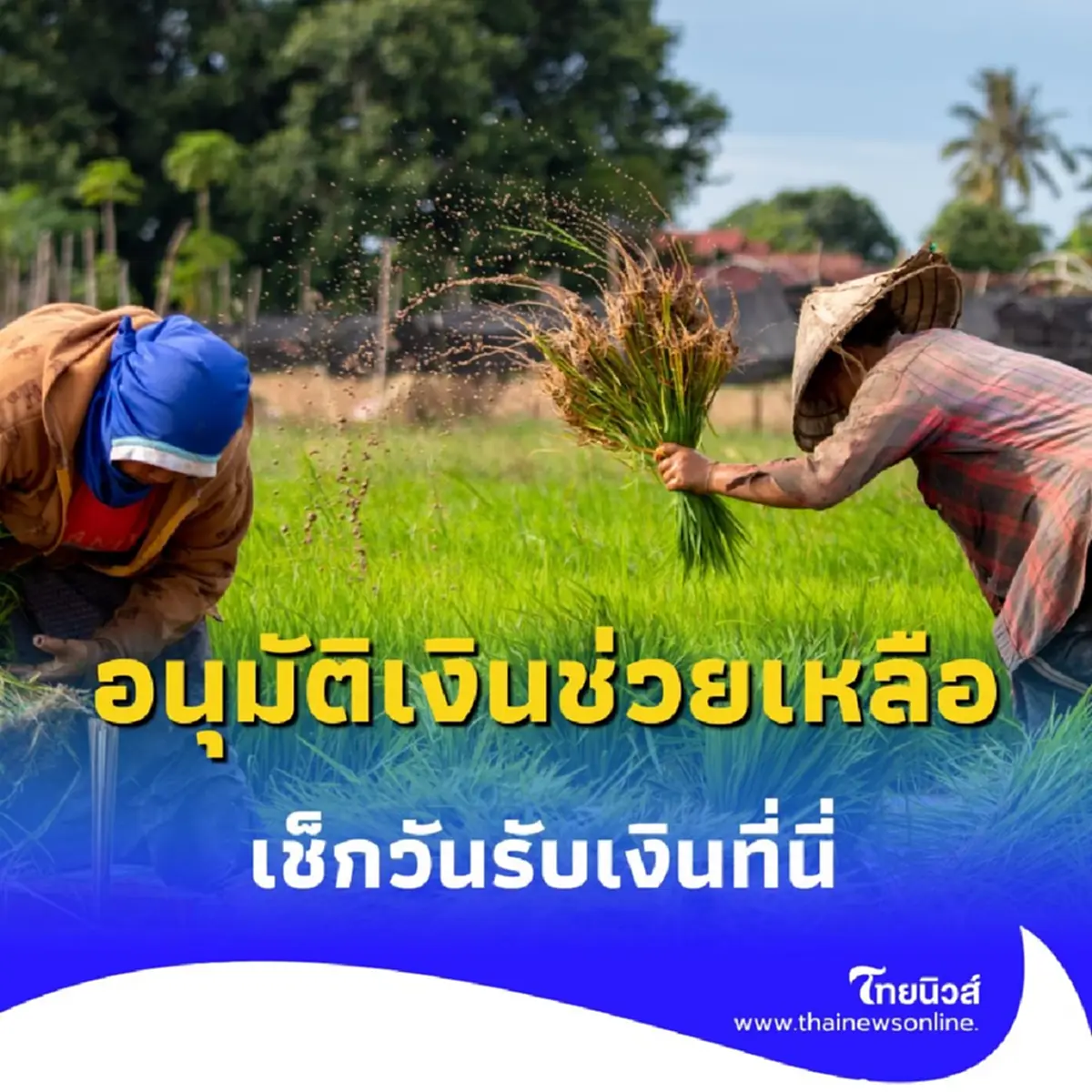 ชาวนาได้เงินช่วยเหลือ ไร่ละ 1,000 บาท สูงสุด 10,000 บาท เช็กวันรับเงินที่นี่