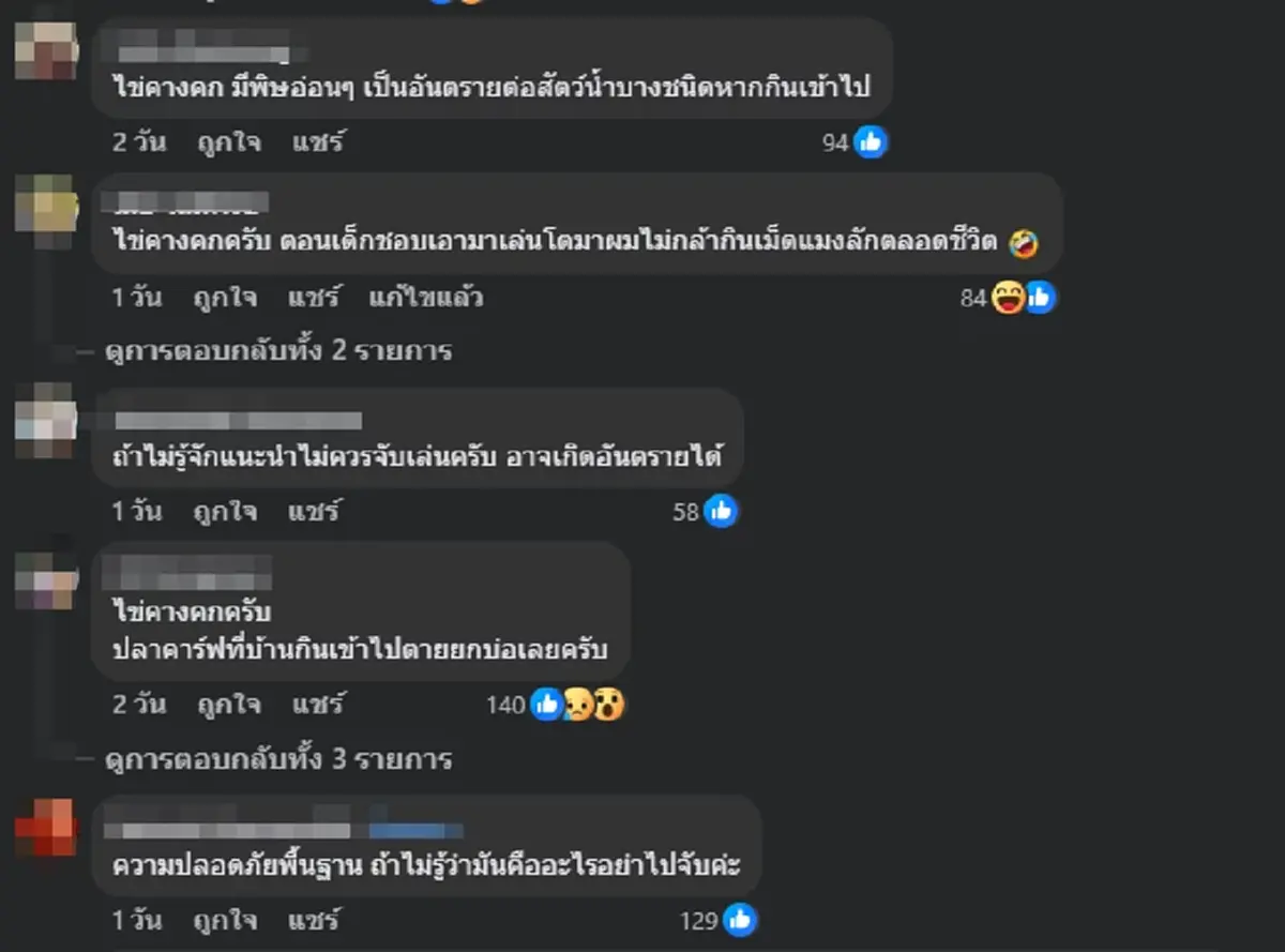 นักท่องเที่ยว เจอไข่ประหลาดในน้ำตก ก่อนชาวเน็ตเตือนถึงอันตราย