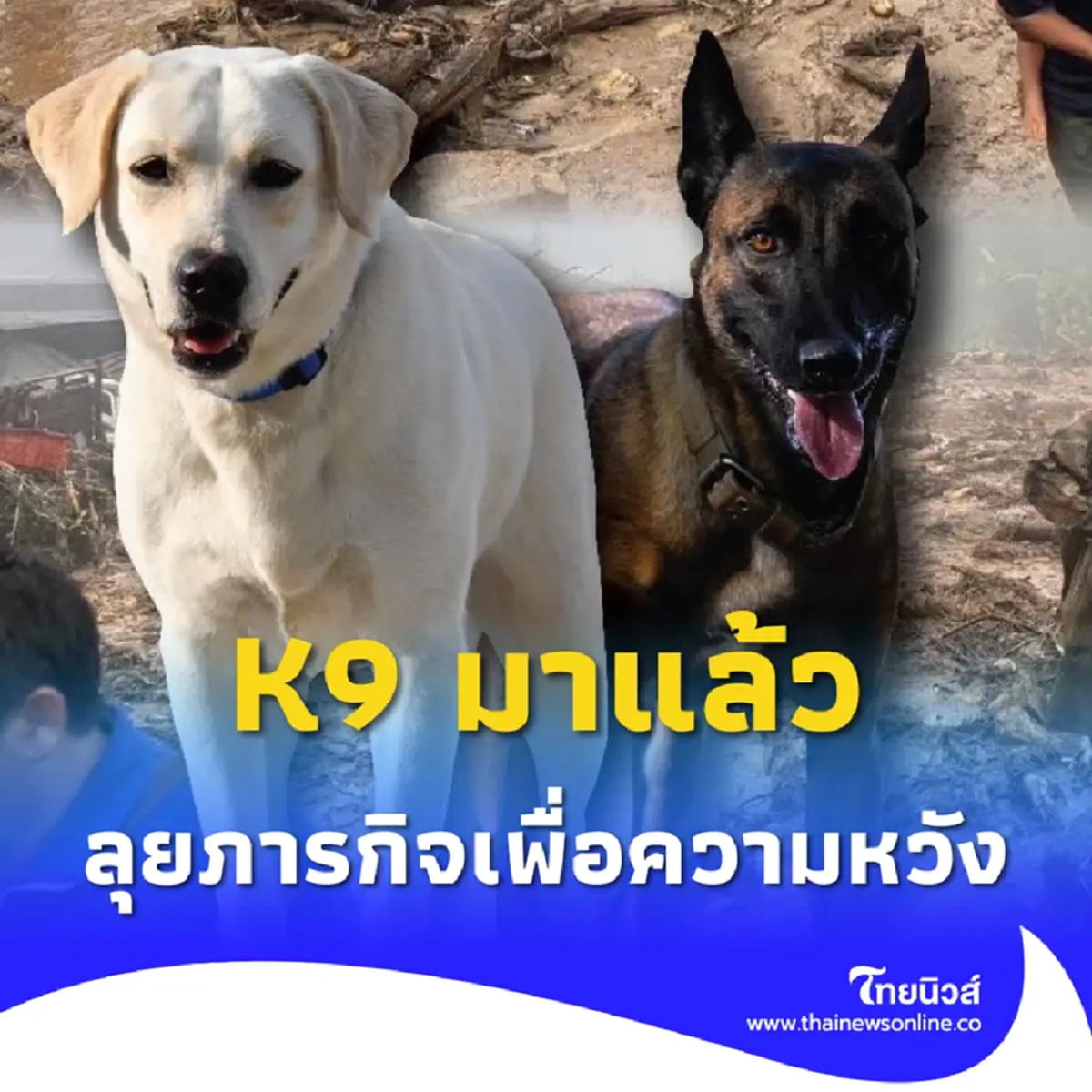 K9 มาแล้ว มุ่งหน้าสู่ภารกิจปางอุ๋ง พร้อมลุยทุกอุปสรรค 