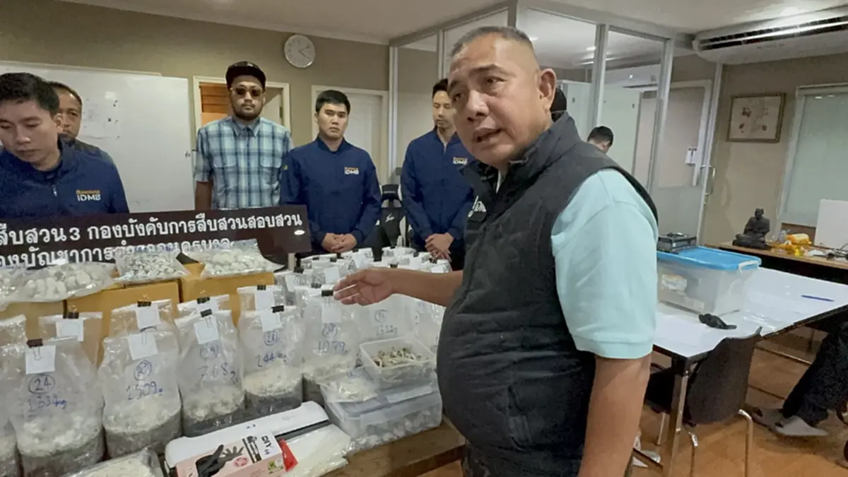 รวบหนุ่มวัย 25ปี ขายเห็ดขี้ควายออนไลน์ สุดอู้ฟู่ของกลาง 2.2 ล้าน