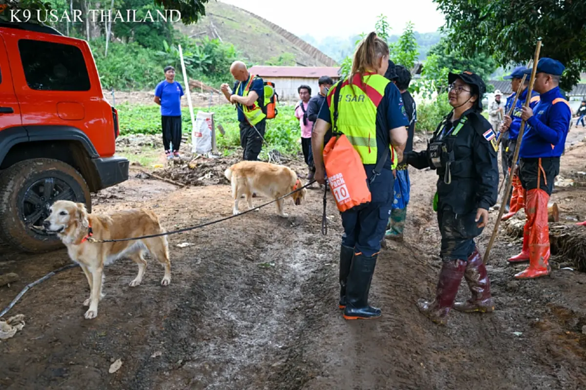 K9 ไม่ท้อ ฝ่าฝนโคลน ลิลลี่-ซาฮาร่า พบร่างผู้สูญหายเพิ่ม