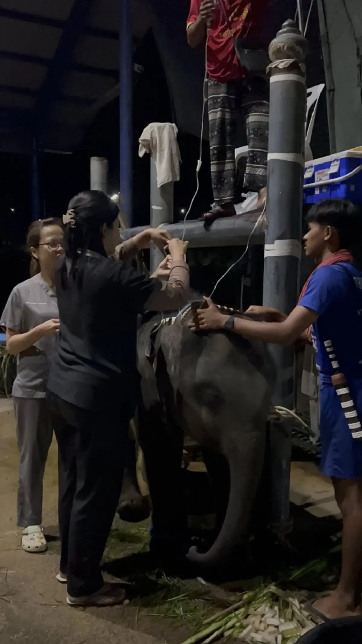 อาการล่าสุด พลายต้นหนาว ยังไม่พ้นขีดอันตราย ร่วมส่งพลังใจ