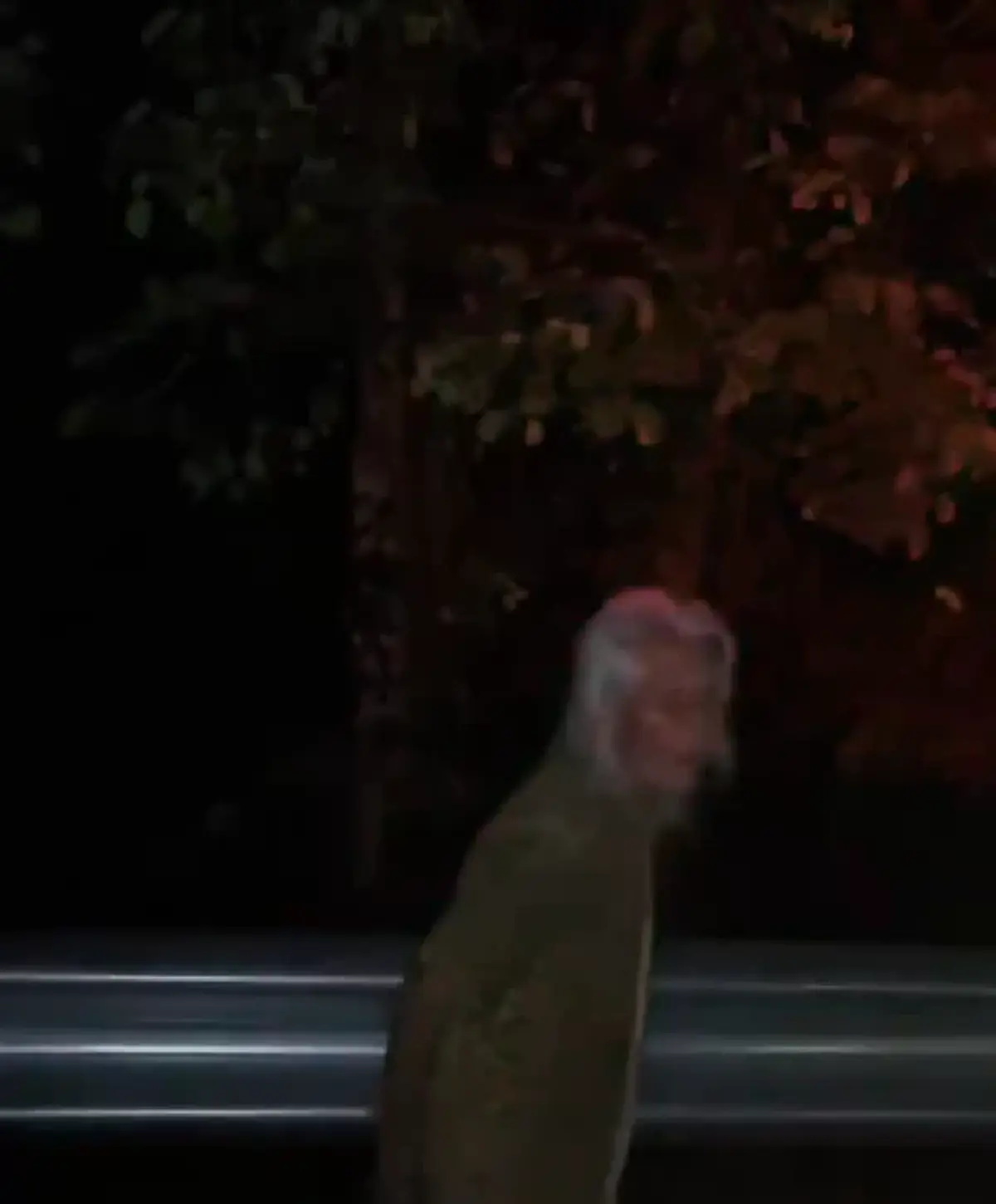 หลอน ตร.เจอยายนั่งถอนหญ้า ตอนตี 4 ถามบ้านอยู่ไหน ชี้ไปยิ่งขนลุก