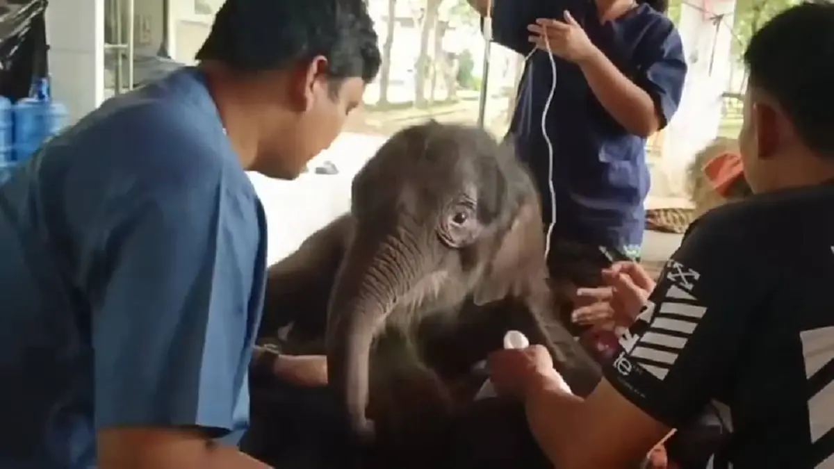 รู้แล้วใครตั้งชื่อ น้องข้าวต้ม แฝงความหมายแสนอบอุ่น ลึกซึ้ง