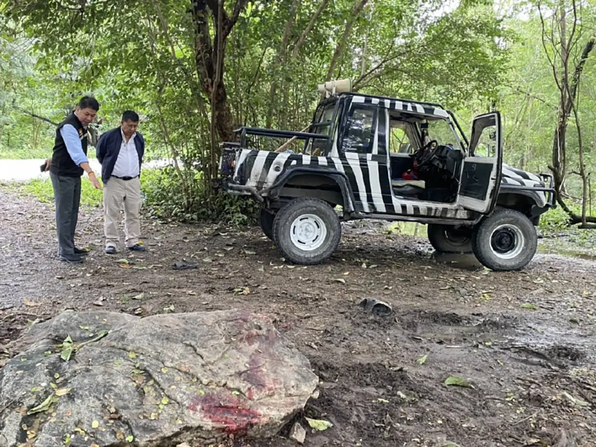 กรมอุทยานฯ สั่งปิดโซนสัตว์ดุร้าย เร่งสอบสิงโตซาฟารีเวิลด์ 32 ตัว