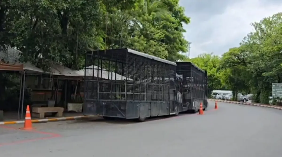 เปิดภาพจุดเกิดเหตุ เผยสภาพภายในรถ นายเจียน เจ้าหน้าที่ดูแลสิงโต