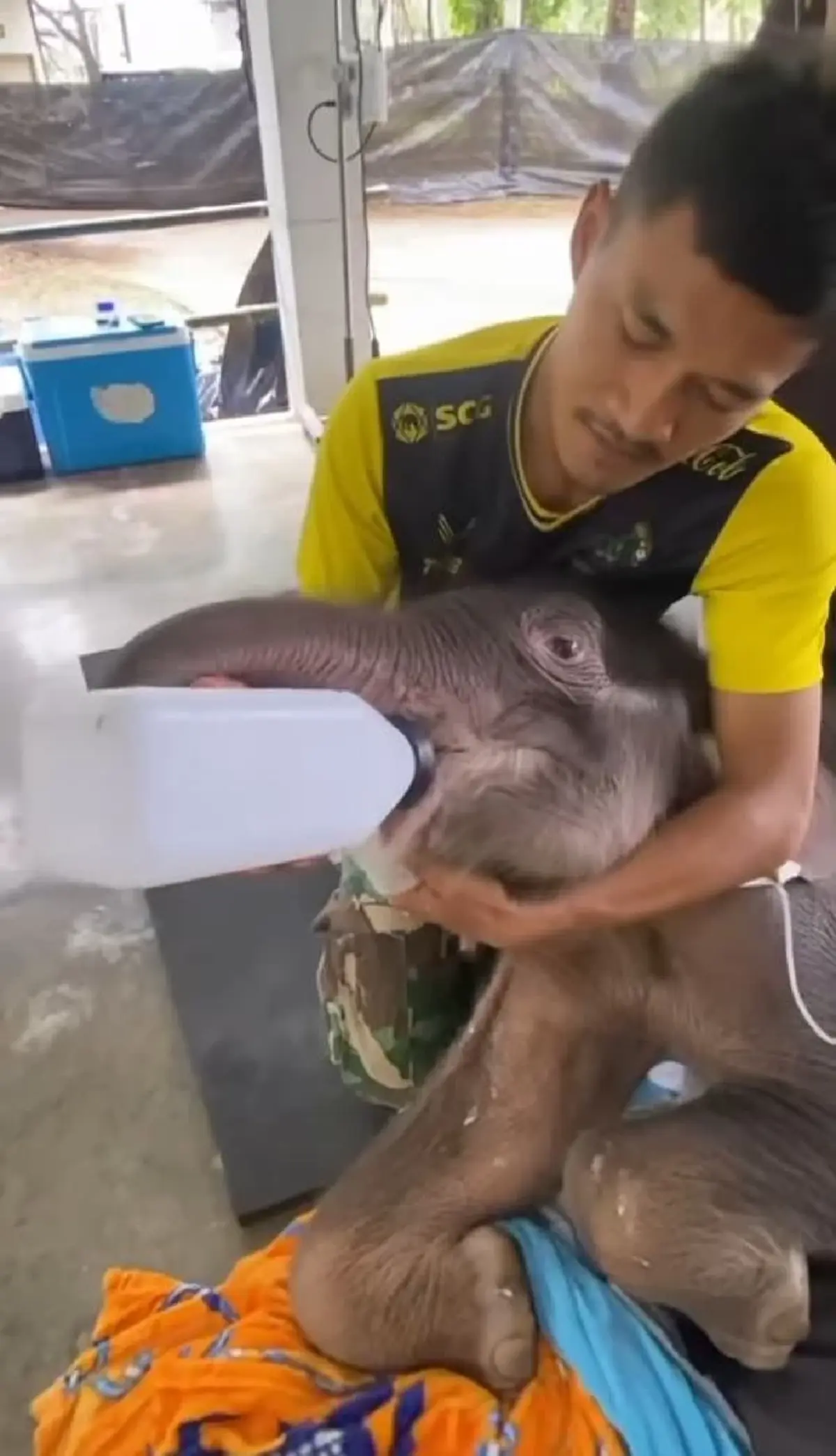 รู้แล้วน้ำตาซึม อัปเดตการรักษา น้องข้าวต้ม ล่าสุดมีข่าวดี