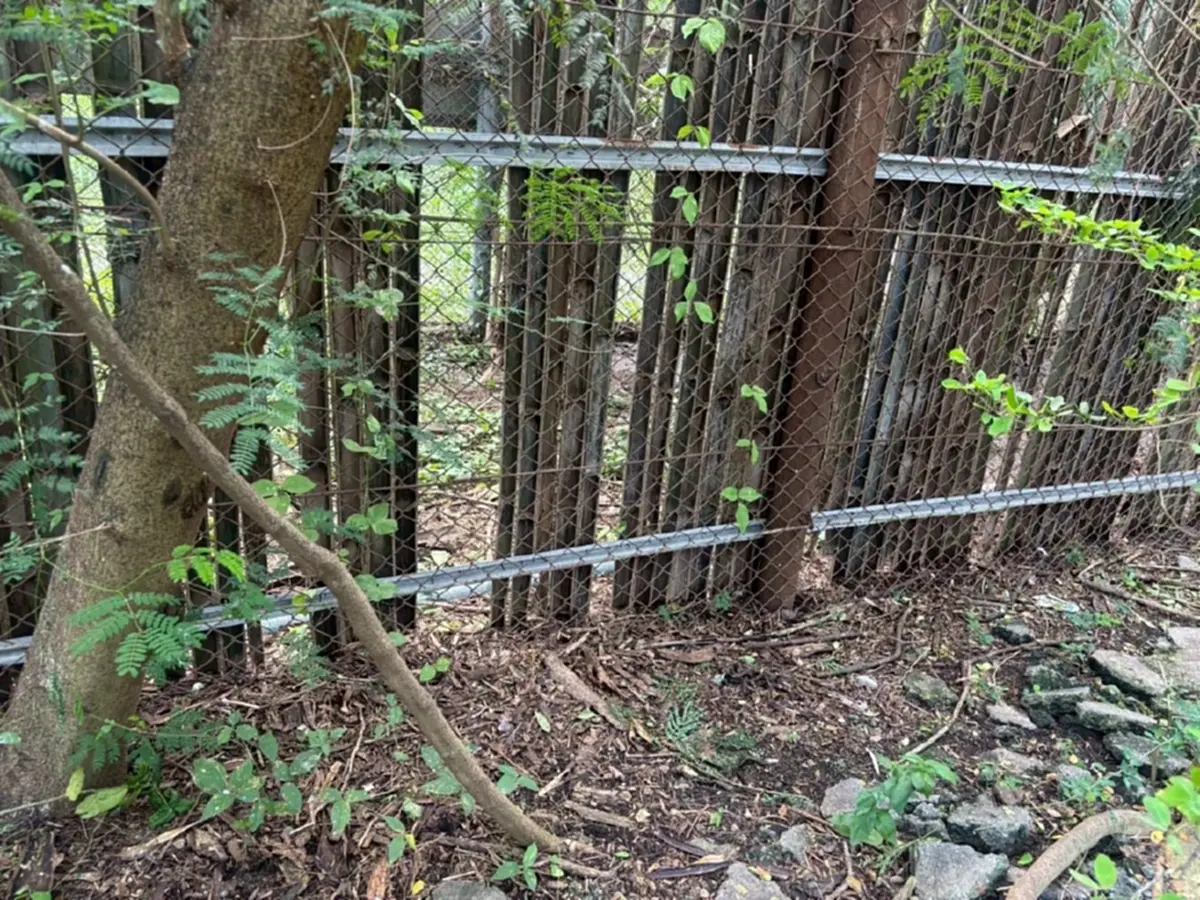 ออกแล้ว ผลตรวจสอบมาตรฐานความปลอดภัย "สวนสัตว์ซาฟารีเวิลด์"