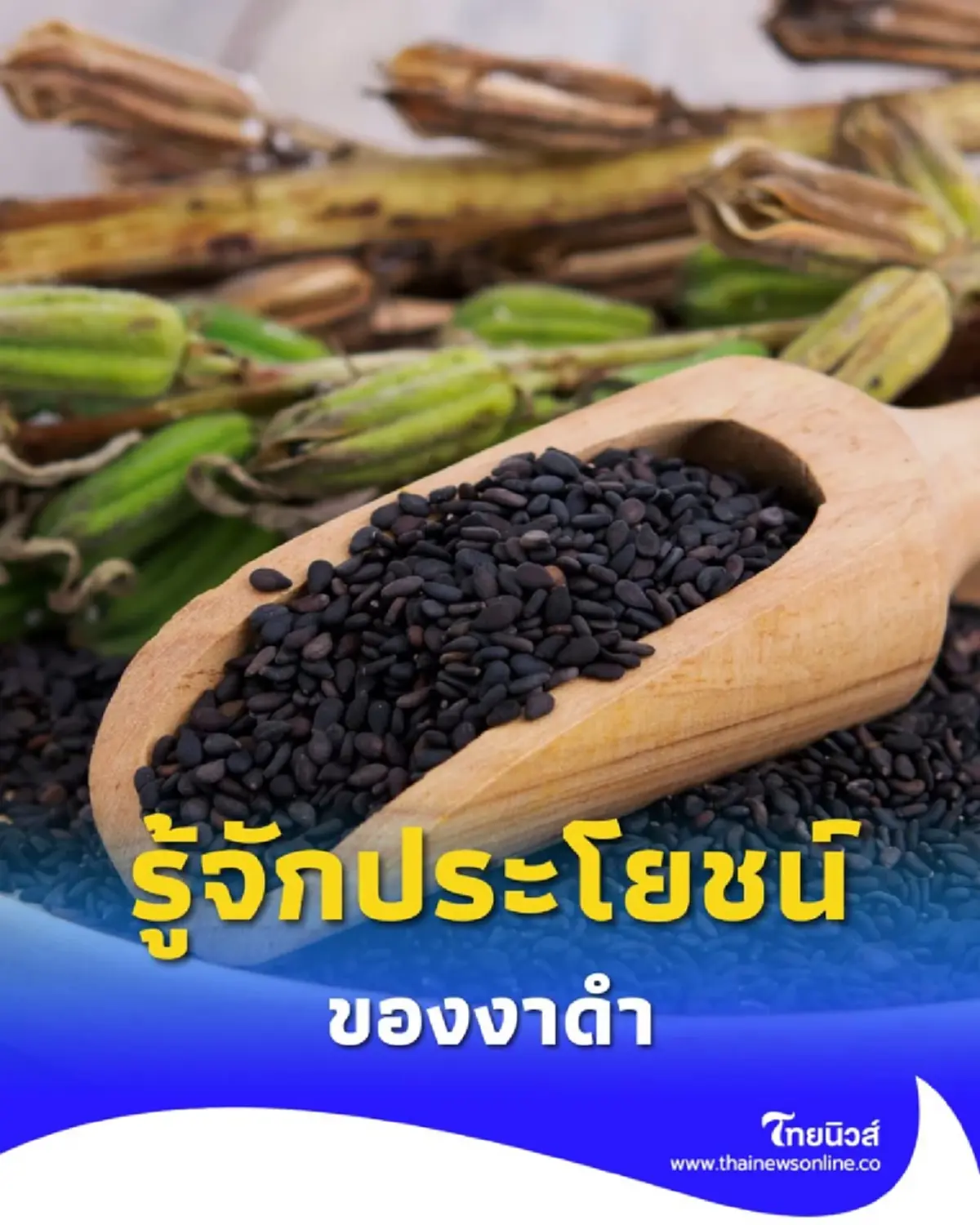 งาดำ รู้ให้ครบทั้งประโยชน์และข้อควรระวังก่อนกินทุกวัน