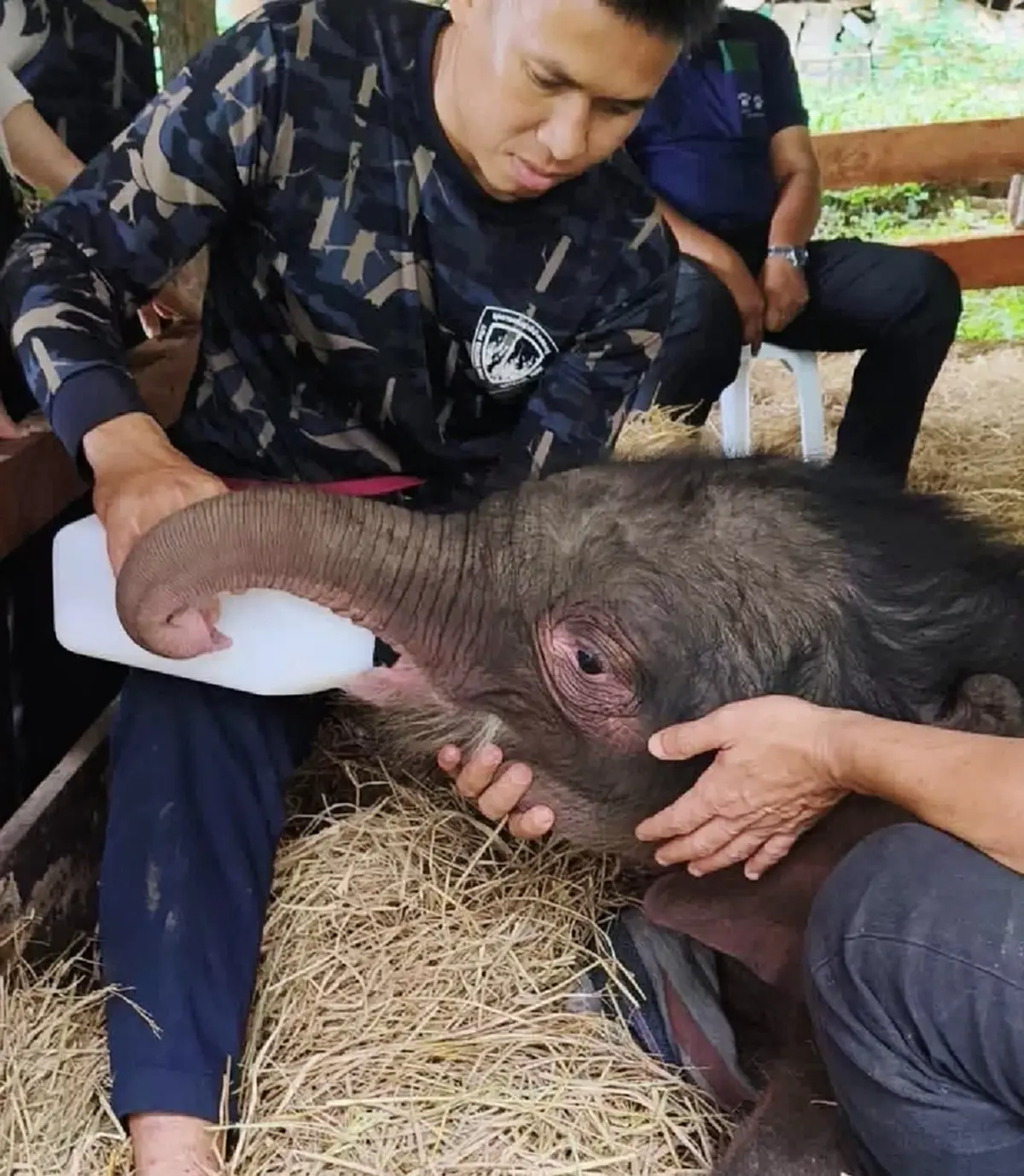 รู้แล้วใครตั้งชื่อ น้องข้าวต้ม แฝงความหมายแสนอบอุ่น ลึกซึ้ง