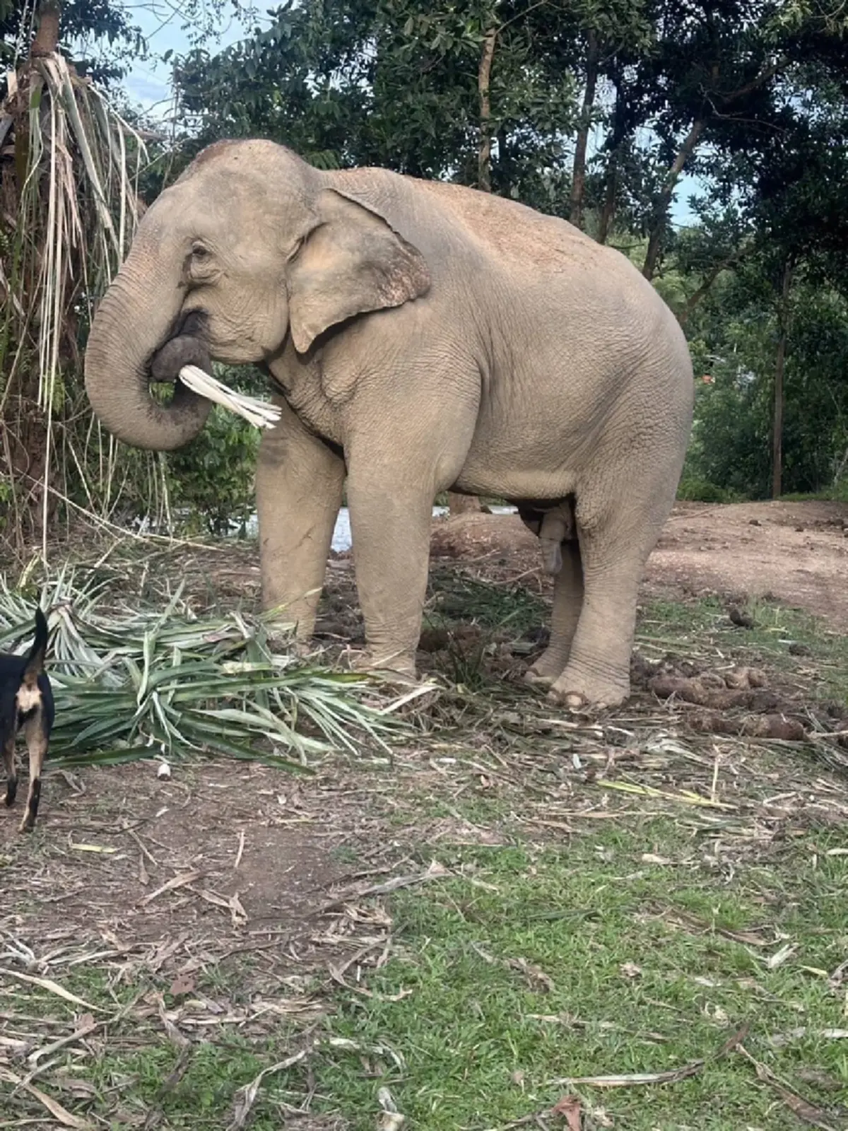 สีดอก้านกล้วย ได้บ้านใหม่แล้ว พร้อมเผยชีวิตต่อจากนี้