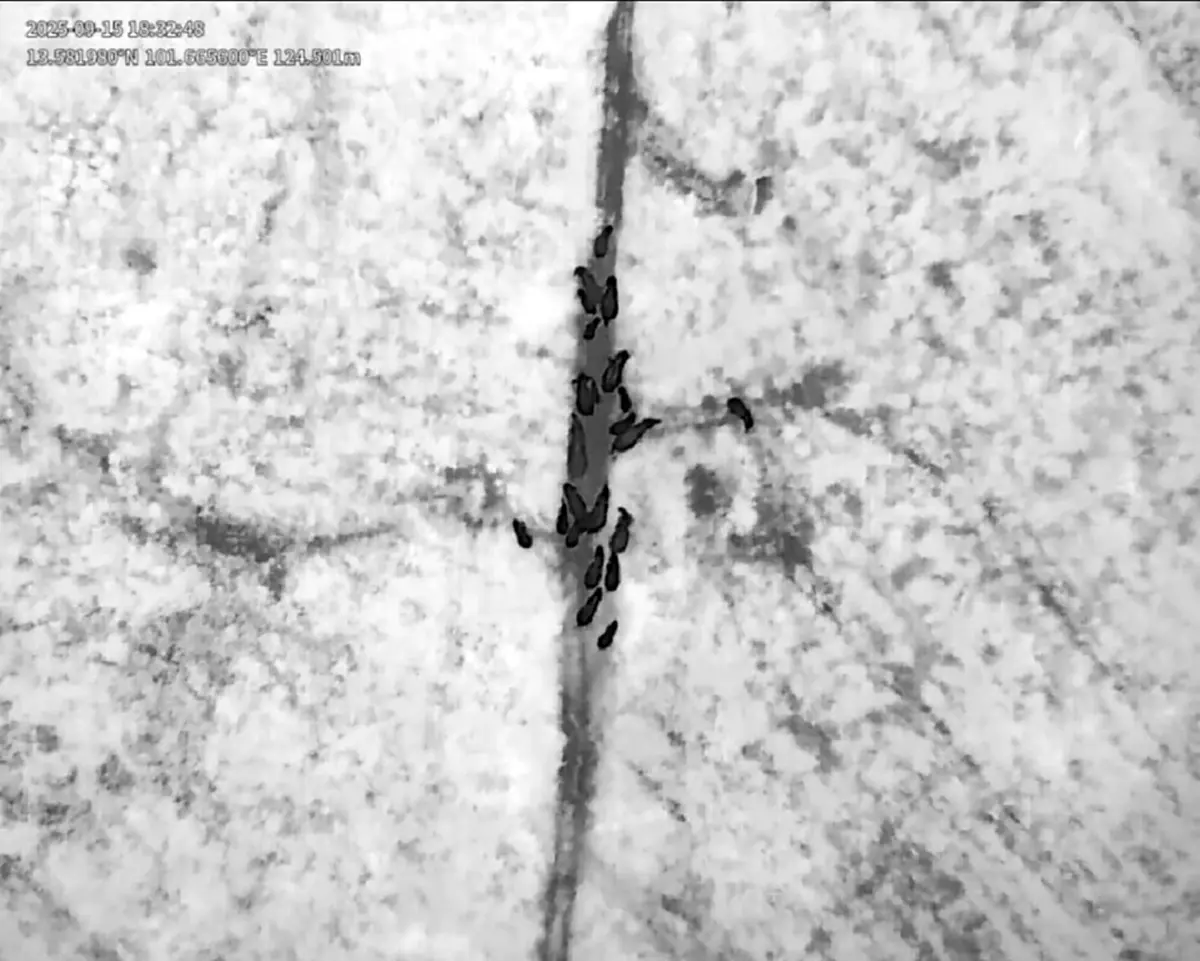 งานช้างของจริง ผนึกกำลังผลักดันโขลงช้างป่า 20 ตัวกลับบ้าน