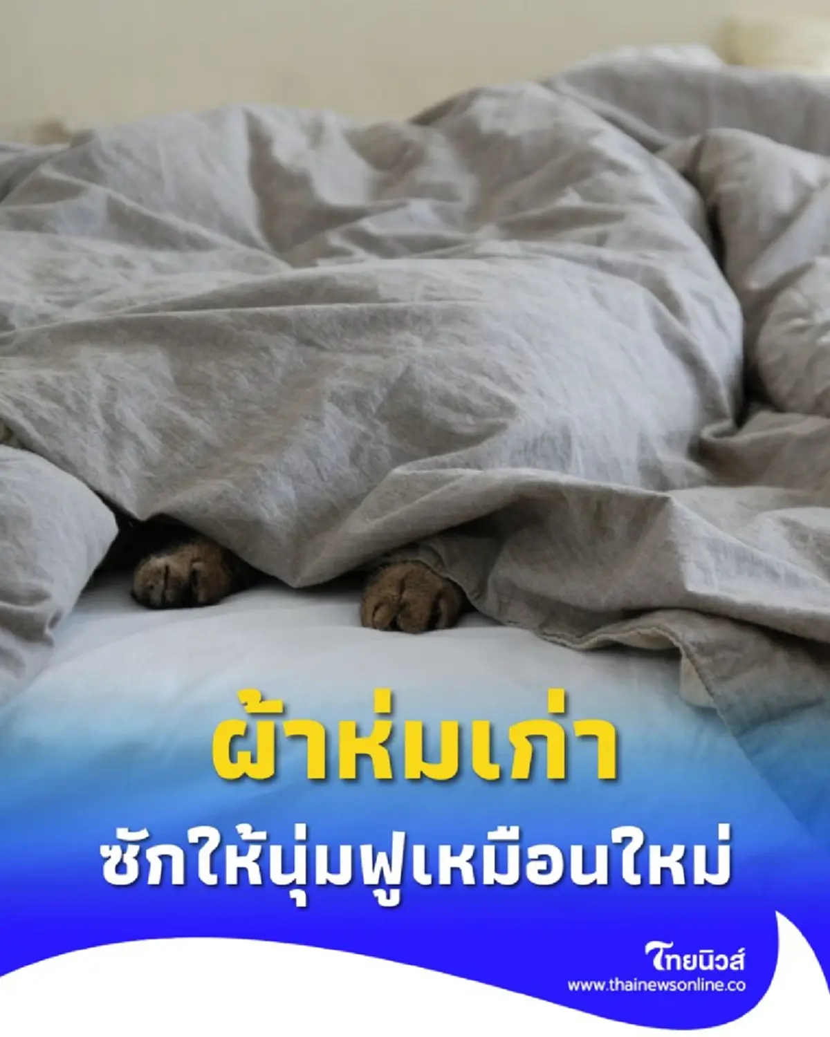 วิธีซักผ้าห่มติดกลิ่นเหงื่อ ทำอย่างไรให้ผ้าห่มหอมสดชื่นและนุ่มฟู