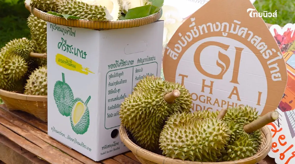 "ทุเรียน"ราชาแห่งผลไม้ไทย กับรหัสลับ GI ที่โลกต้องรู้จัก
