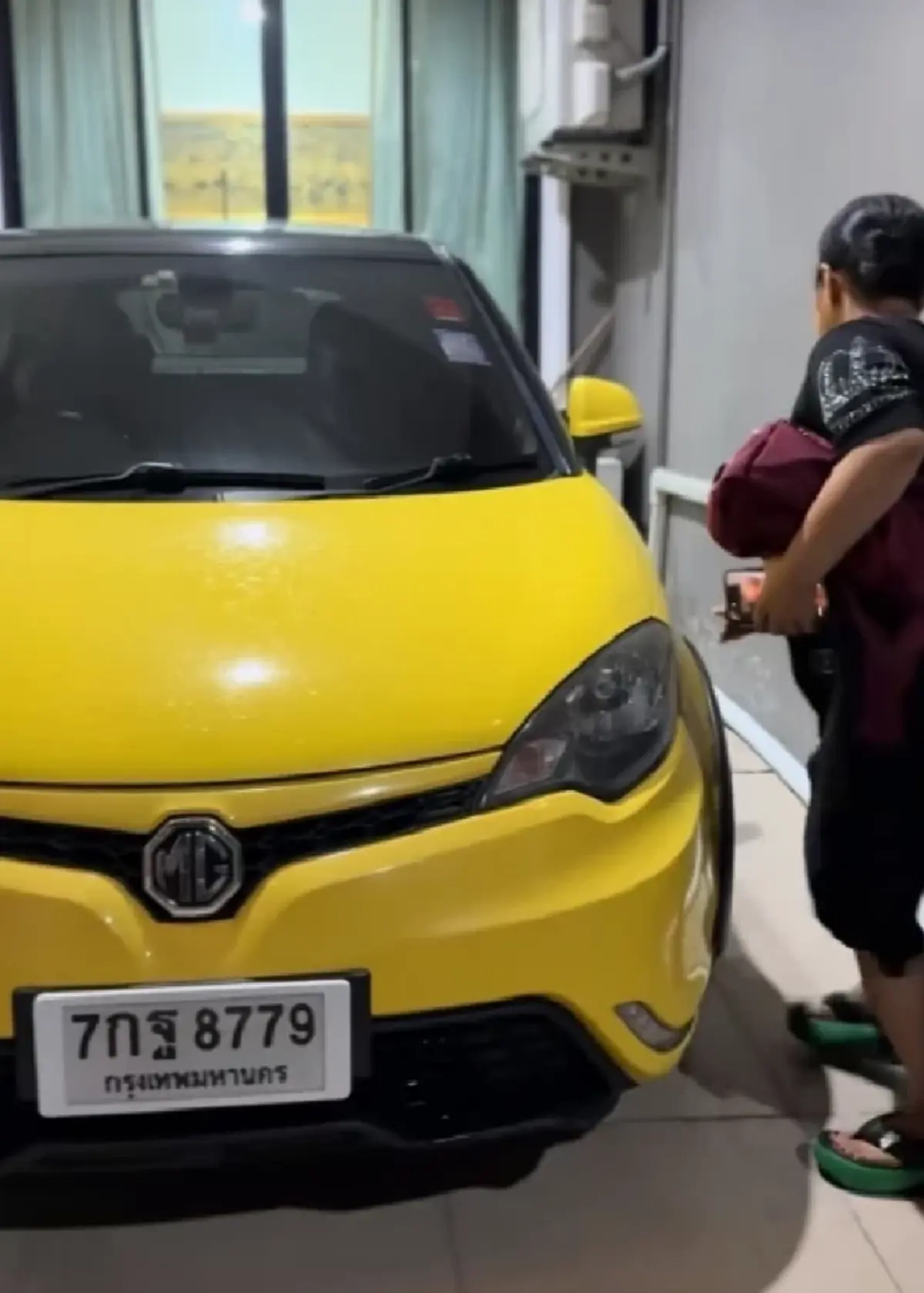 เปิดทะเบียน "ฮาย อาภาพร" แมวคลอดลูกในรถ เห็นแล้วต้องซูมดีๆ