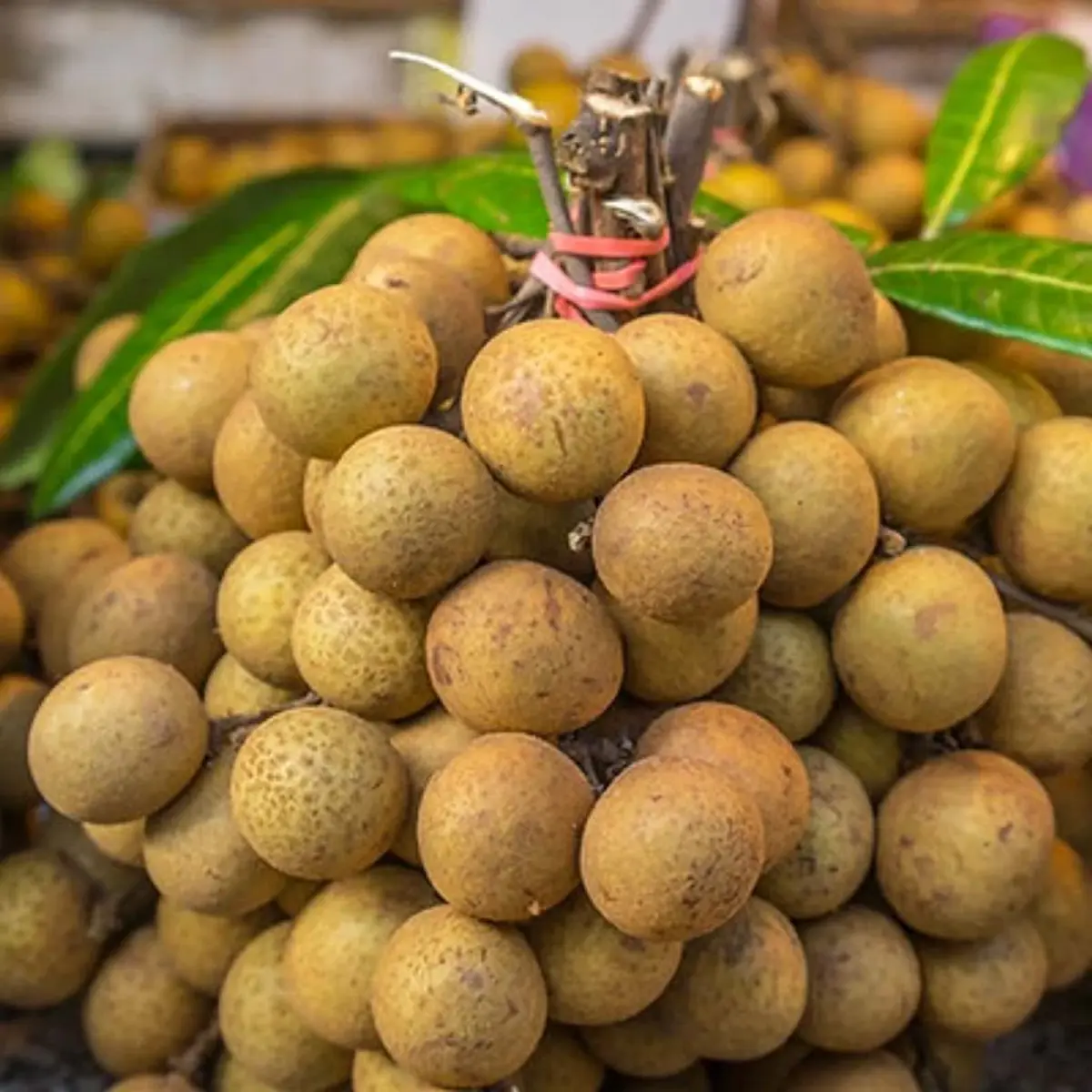 ระวัง 4 ผลไม้ใกล้ตัว กินเยอะเกินไป เสี่ยง“นิ่วในไต” ถามหา