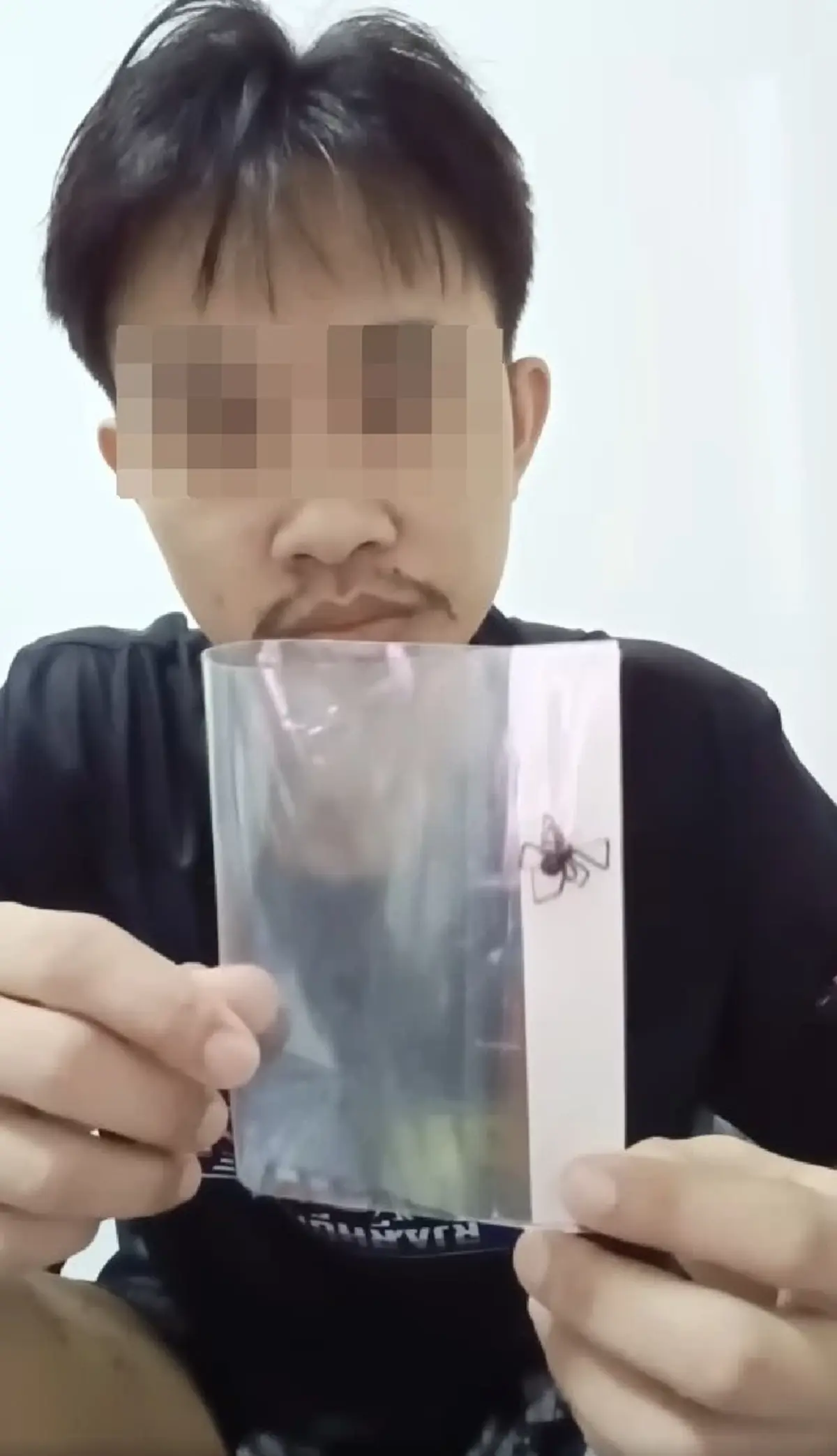 หนุ่มปวดสาหัส หลังโดน แมงมุมปริศนา กัด ก่อนสุดท้ายรู้ความจริง 