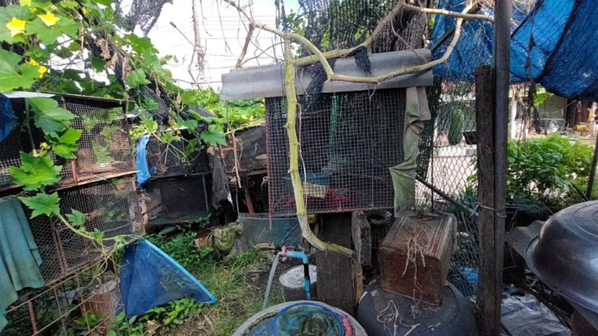 บุกคาบ้าน พ่อค้านกป่าคุ้มครอง ตรวจยึดของกลางได้เพียบ