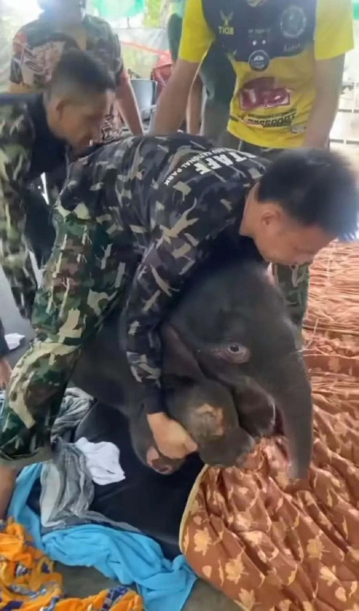 รู้แล้วน้ำตาซึม อัปเดตการรักษา น้องข้าวต้ม ล่าสุดมีข่าวดี