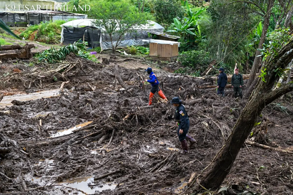 ฮีโร่ 4 ขา K9 สีนวล ช่วย 1 ชีวิตเล็ก ๆ จากเหตุดินถล่มบ้านปางอุ๋ง