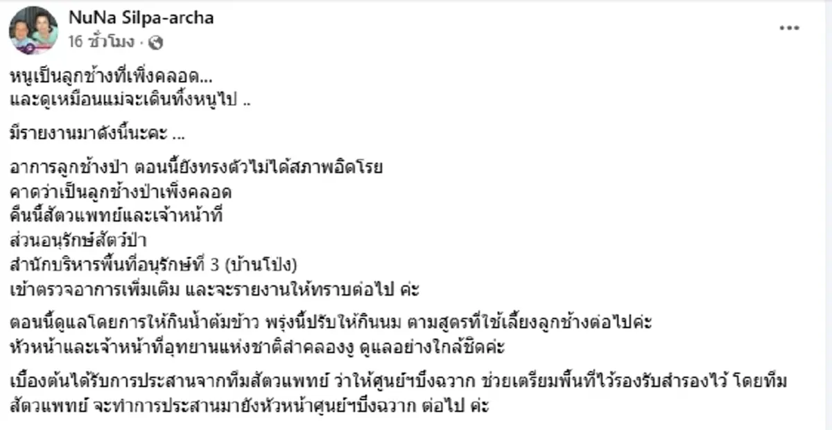 อาการล่าสุด น้องข้าวต้ม ลูกช้างป่าพลัดหลง ย้ายมารักษาที่บึงฉวาก