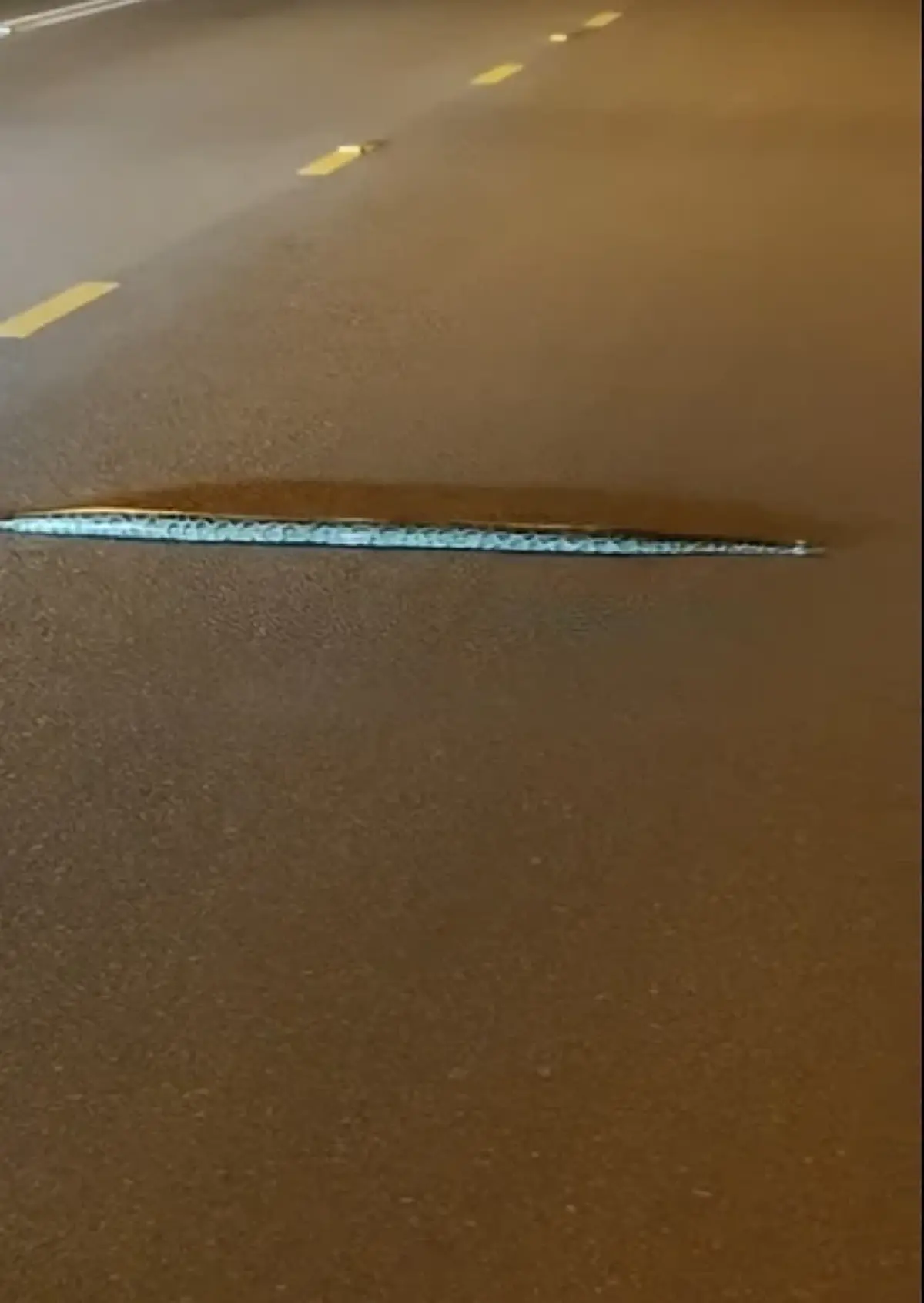 ฮือฮา งูเลื้อยเส้นตรงข้ามถนน ไม่กลัวคนถ่ายคลิป ทะเบียนรถให้โชค