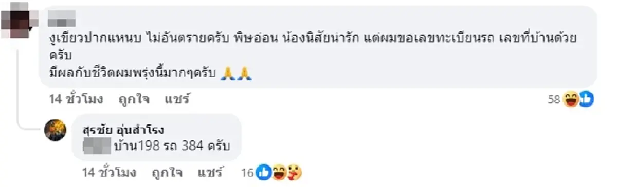 ลูกงูเขียว 9 ตัว หล่นจากต้นไม้ตกใส่รถ แห่ส่องทะเบียนรถ เลขที่บ้าน