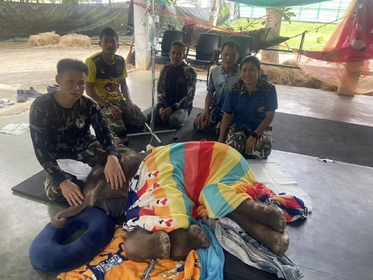 รู้แล้วใครตั้งชื่อ น้องข้าวต้ม แฝงความหมายแสนอบอุ่น ลึกซึ้ง