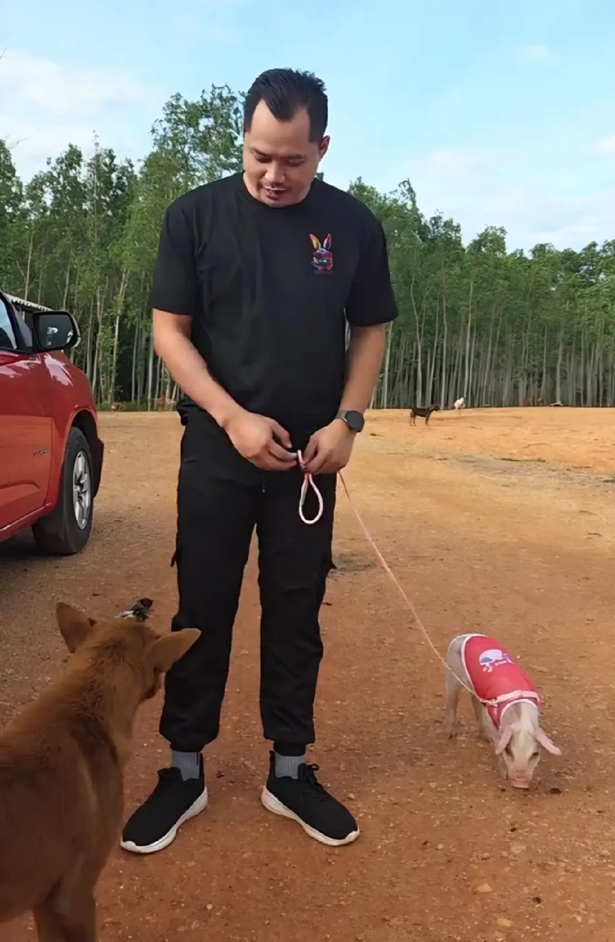 "เฮงเฮง"ลูกหมูโดดลงรถกลางถนน ลาโลกแล้ว เจ้าของเผยสาเหตุเศร้า