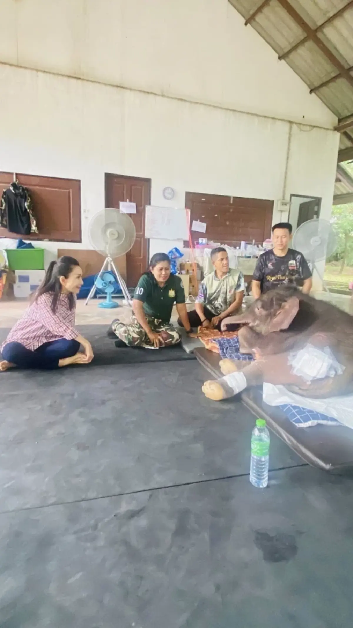 เผยนิสัย น้องข้าวต้ม ลูกช้างพลัดหลง รู้แล้วยิ่งหลงรัก