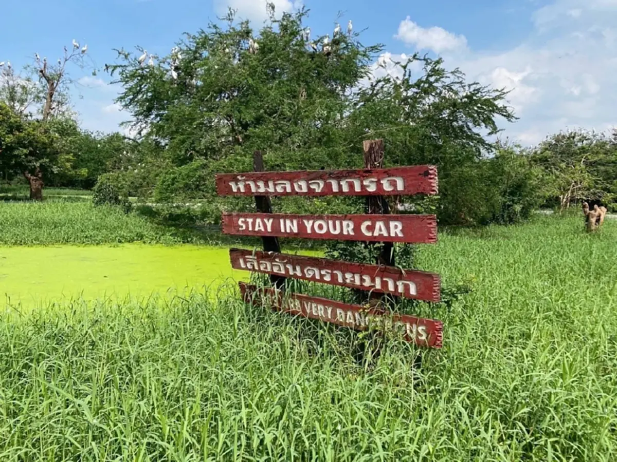 ออกแล้ว ผลตรวจสอบมาตรฐานความปลอดภัย "สวนสัตว์ซาฟารีเวิลด์"