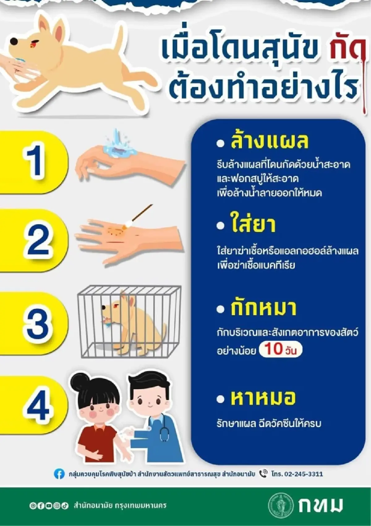 เตือน 6 เขต กทม.- บางพลี สมุทรปราการ เฝ้าระวังโรคพิษสุนัขบ้า ระบาด